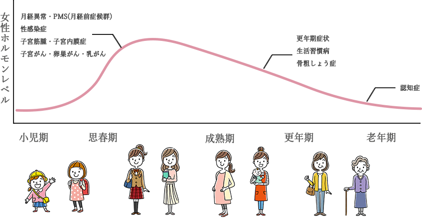 女性のライフステージにおける健康上の問題についてのグラフ